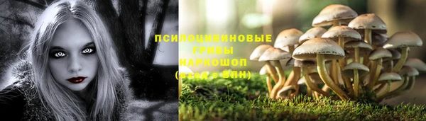 не бодяженный Алексин