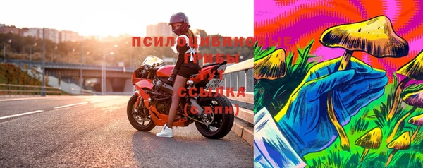 бошки Алзамай