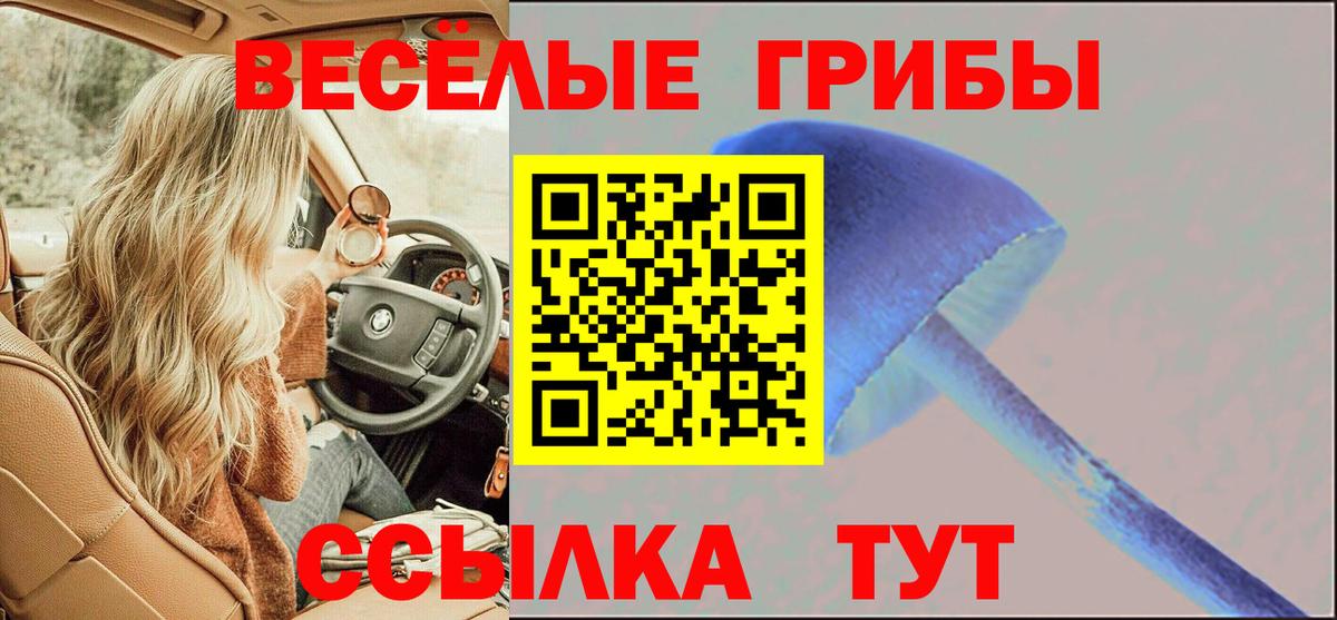 ГАШИШ  MDMA  АМФ кристаллы  Гашиш  Ленинск-Кузнецкий  МЕФ   Cocaine  Канабис 