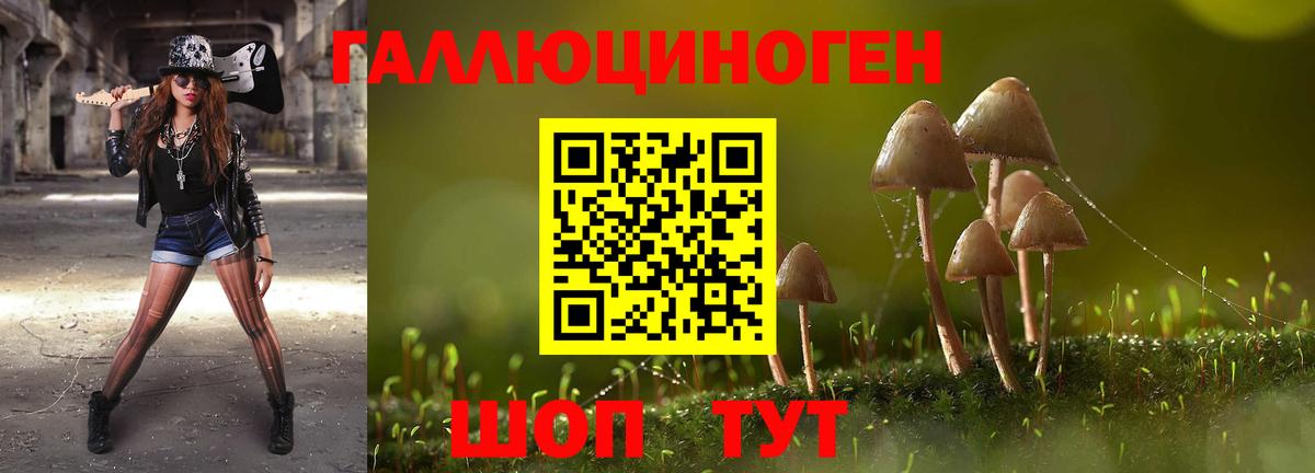 Галлюциногенные грибы мицелий  Псилоцибиновые грибы мухоморы  Ленинск-Кузнецкий 