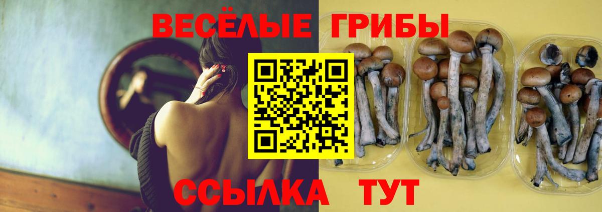 Галлюциногенные грибы мицелий Ленинск-Кузнецкий